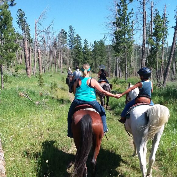 Meet your Posher, Ben - Picture 1 of 1